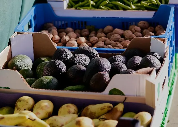 Yasmina * 플라야블랑카